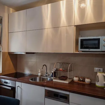 Flat Kosutnjak 9 Apartament *