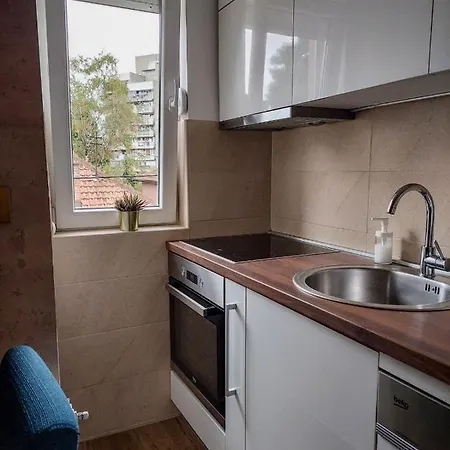 Flat Kosutnjak 9 Apartament *