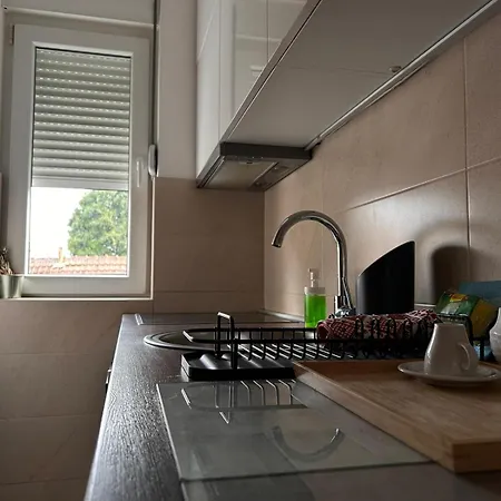 Flat Kosutnjak 9