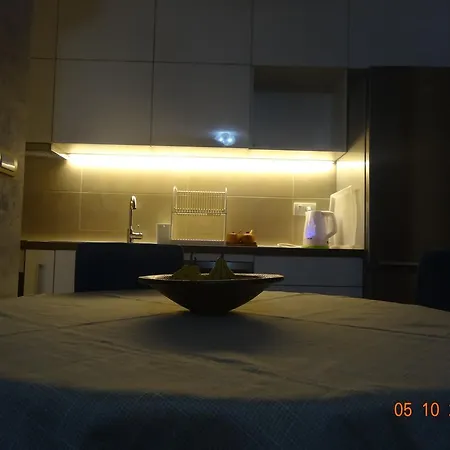 Flat Kosutnjak 9
