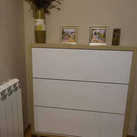 Flat Kosutnjak 9