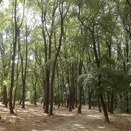 Flat Kosutnjak 9 Apartament Belgrad